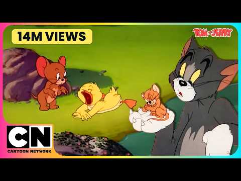 Tom And Jerry Proof That 90 S Never Gets Old Classic Cartoon Cat The Mouse Cnindia Tom And Jerry Proof That 90 S Never Gets Old Classic Cartoon Cat The Mouse Cnindia