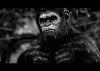 Aphex Twin 180 Db Slowed