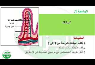 الوضعية 1 من المورد 2 امتصاص المغذيات