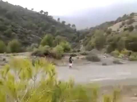 القبض على إرهابي حي في جبال البويرة