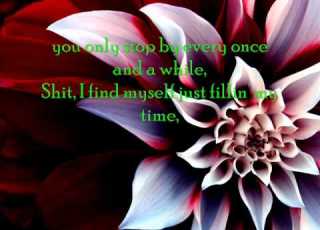  Fort Minor Ft Holly Brook And Jonah Matranga Where D You Go Lyrics