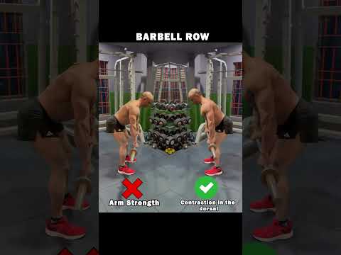 Barbell Row Techniques Maximize Back Gains With Proper Form