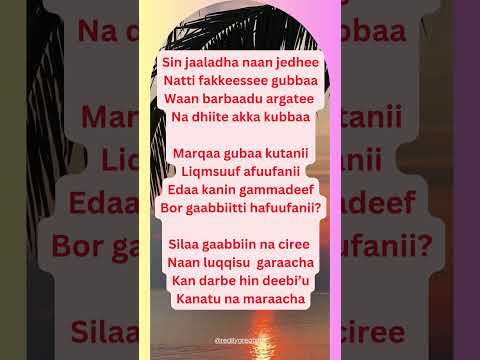 Walaloo Jaalalaa Hirkoo Oromomusic2024 Oromomusic2024 Oromoshorts Motivation Love Life Walaloo Jaalalaa Hirkoo Oromomusic2024 Oromomusic2024 Oromoshorts Motivation Love Life