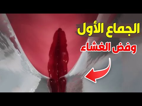 شاهد كيف يحدث اللقاء الاول ليلة الدخلة توضيح طبي