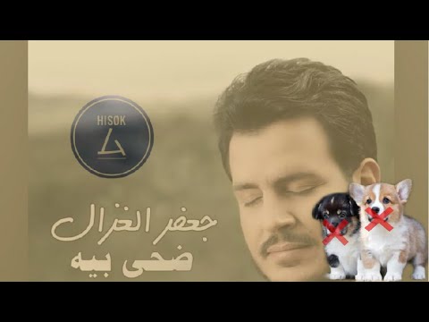 جعفر الغزال ضحى بية صوت واضح بدون نباح كلاب فيديو كليب 2019 هيسوكا