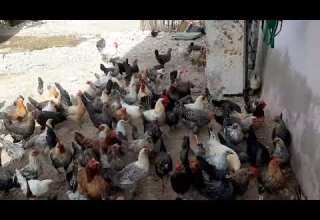 MORABI ADAGAG B MADINAT ANADOR HAY BOYZARZARN