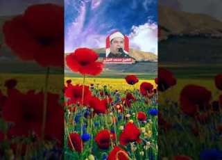 اصبروا الشيخ محمد الليثي رحمه الله الشيخ محمد الليثي