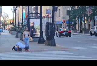 Fendom Life Mistress Walking With Dog