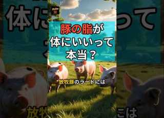 Ep 77 豚の脂 が注目される理由