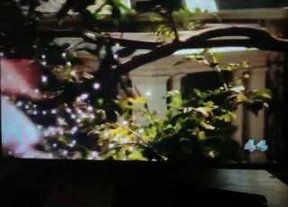 The Fairies Series 2 Episode 24 Full Episode Part 1