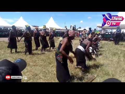 NGOMA ZA ASILI KABILA LA WAFIPA ZAWAKOSHA MAELFU YA WATU NGOMA ZA ASILI KABILA LA WAFIPA ZAWAKOSHA MAELFU YA WATU