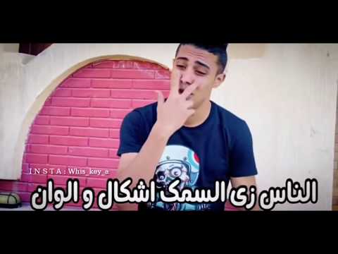 مهرجان الناس زي السمك احمد موزه و حلقولو حالات واتس اب مهرجانات 2020