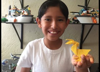  Pelícano De Origami