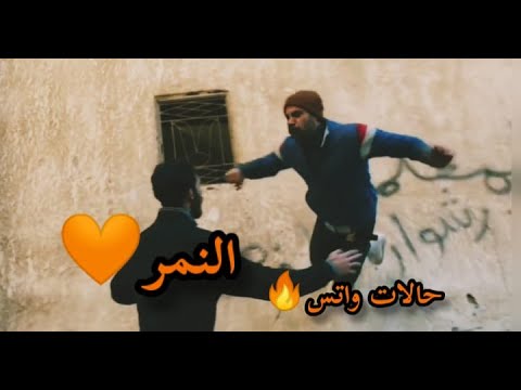 حالات واتس محمد امام مسلسل النمر النمر اول ما بيظهر يخض حالات واتس محمد امام مسلسل النمر النمر اول ما بيظهر يخض