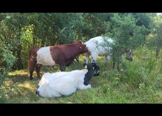 Drought 2026 Am I In Trouble Why Does Bad News Go Viral