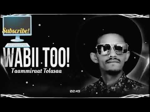 Taammiraat Tolasaa Wabii Too New Oromoo Music 2026
