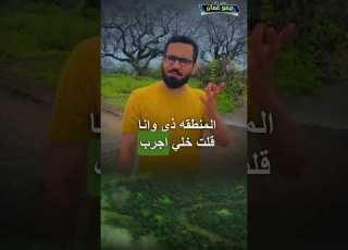  كلمات شاب سعودي عندما شاف خريف ظفار سلطنة عمان