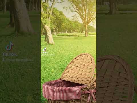 احنا مزاجنا ثم مزاجنا