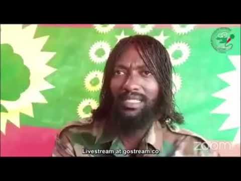 Dubbii Cicimaa Jaal Marroon Kumsaa Dirribaa Aljezira Irratti Dubbate