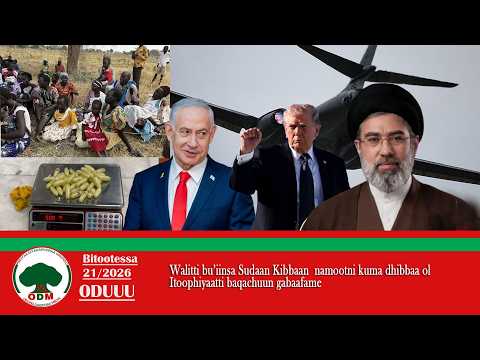 O D M Oduu Bitootessa 21 2026