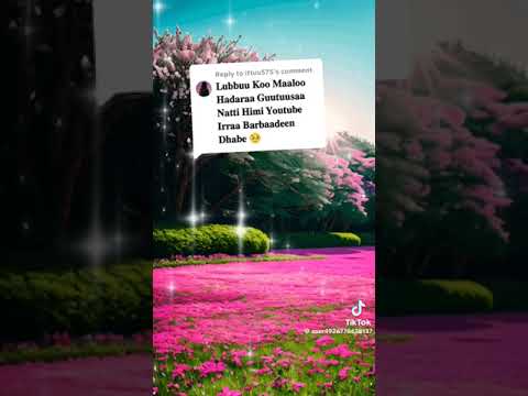 GUDDADHA JALALI ATI ANAF QABDU UUF FARSAKANA AKKA JALLADHU