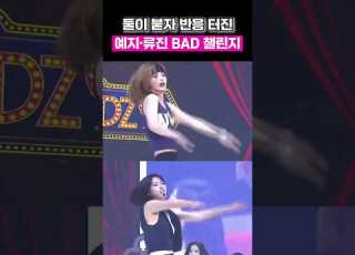  둘이 붙자 반응 터진 예지 류진 BAD 챌린지