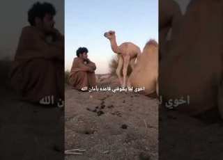 اخوي لما يشوفني قاعد في امان الله Shorts