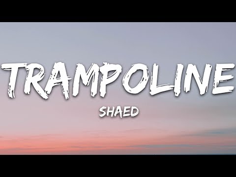 SHAED Trampoline Lyrics