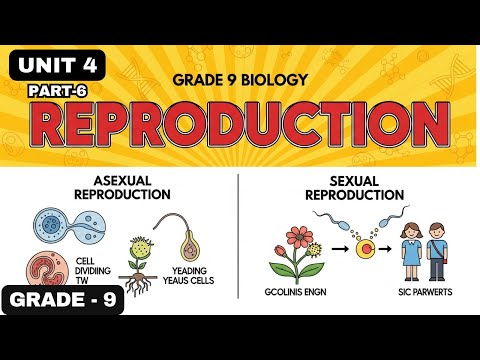 GRADE 9 BIOLOGY UNIT 4 PART 6 BIRTH CONTROL METHODS NATURAL VS ARTIFICIAL FAMILY PLANNING GRADE 9 BIOLOGY UNIT 4 PART 6 BIRTH CONTROL METHODS NATURAL VS ARTIFICIAL FAMILY PLANNING