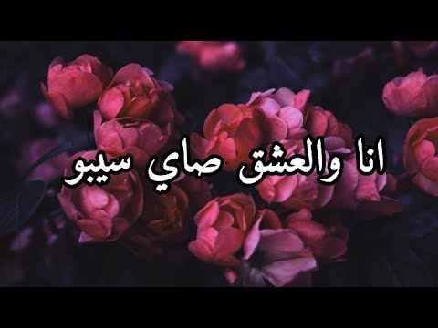 انا والعشق صاي سيبو اغنية احبها الجميع من ابداع الفنان بلال تاكيني