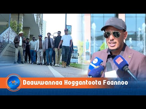 Hoggantootni Dhaabbata Uummata Amaaraa Faannoo Misooma Finfinnee Daawwatan
