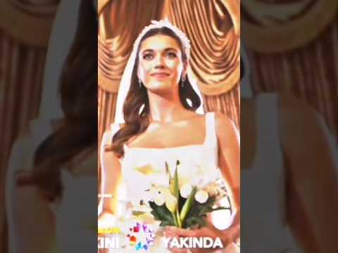 يا عروسة أحلامي