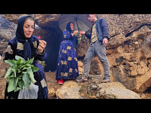 The Operator S Unexpected Offer Shocked Taybeh