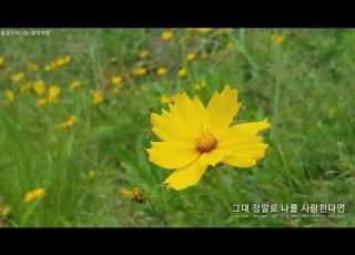  이선희 그대가 나를 사랑하신다면