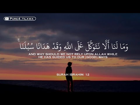 أرح أذنيك وقلبك بالقرآن الكريم سورة إبراهيم تلاوة إسلام أوبهي ISLAM SOBHI أرح أذنيك وقلبك بالقرآن الكريم سورة إبراهيم تلاوة إسلام أوبهي ISLAM SOBHI