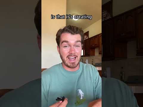 Consciousness Theory