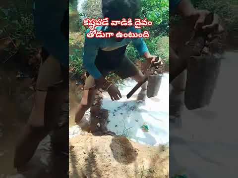 కష టపడ వ డ క ద వ త డ గ ఉ ట ద