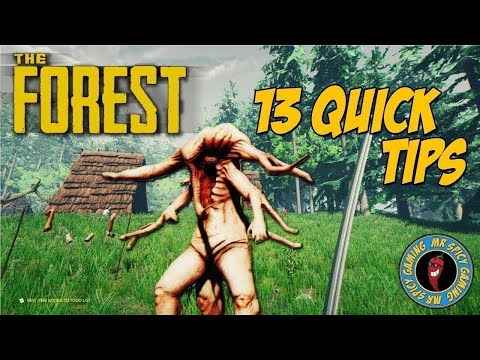 13 QUICK TIPS FOR THE FOREST The Forest Tips Tricks