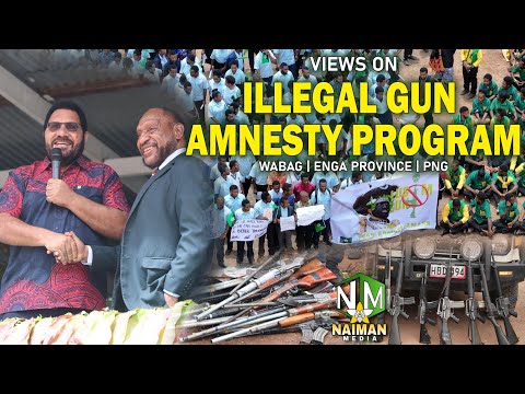 Views On The 2026 ILLEGAL GUN AMNESTY PROGRAM