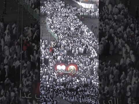 إلى عرفات سنمضي غدا منصور السالمي