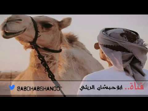 شيلة ناقتي ياناقتي اداء مشاري بن نافل