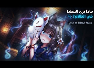  أسرار غامضة لمذا تحدق قطتك في الفراغ و الزوايا الفارغة بالمنزل