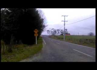Wheelies In Te Toke