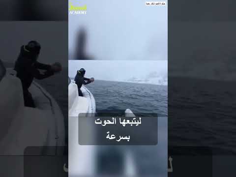 حوت أبيض ظريف