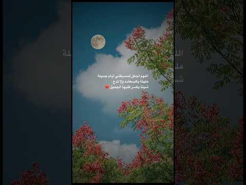 اجمل عبارة عن الصداقة Like اكسبلور ذواقه اقتباسات عبارات لايك تصميمي شعر اجمل عبارة عن الصداقة Like اكسبلور ذواقه اقتباسات عبارات لايك تصميمي شعر