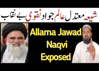 شیعہ علیم جواد نقوی بیناقب مولانا محمد الیاس