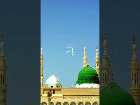 Qalbi Qalbi Pure Blessings In The Heart