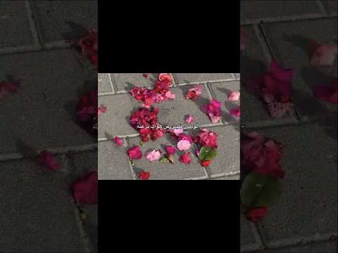 لو مال قلبي عن هواك نزعته بدون موسيقى لو مال قلبي عن هواك نزعته بدون موسيقى