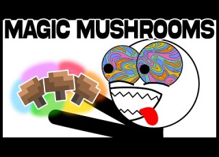 First Time Doing Mushrooms