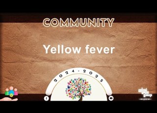  L22 Arthropode Borne Infection Yellow Fever Community